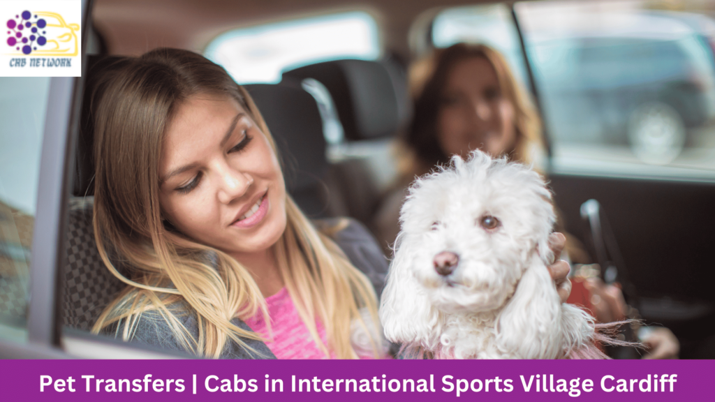 Pet Transfers | Cabs in International Sports Village Cardiff