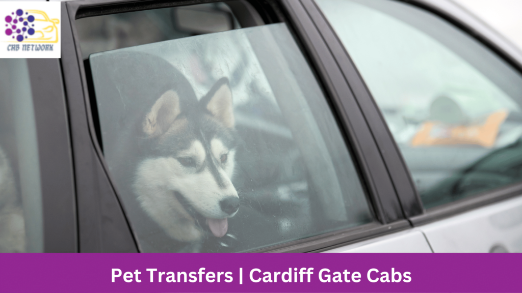 Pet Transfers | Cardiff Gate Cabs