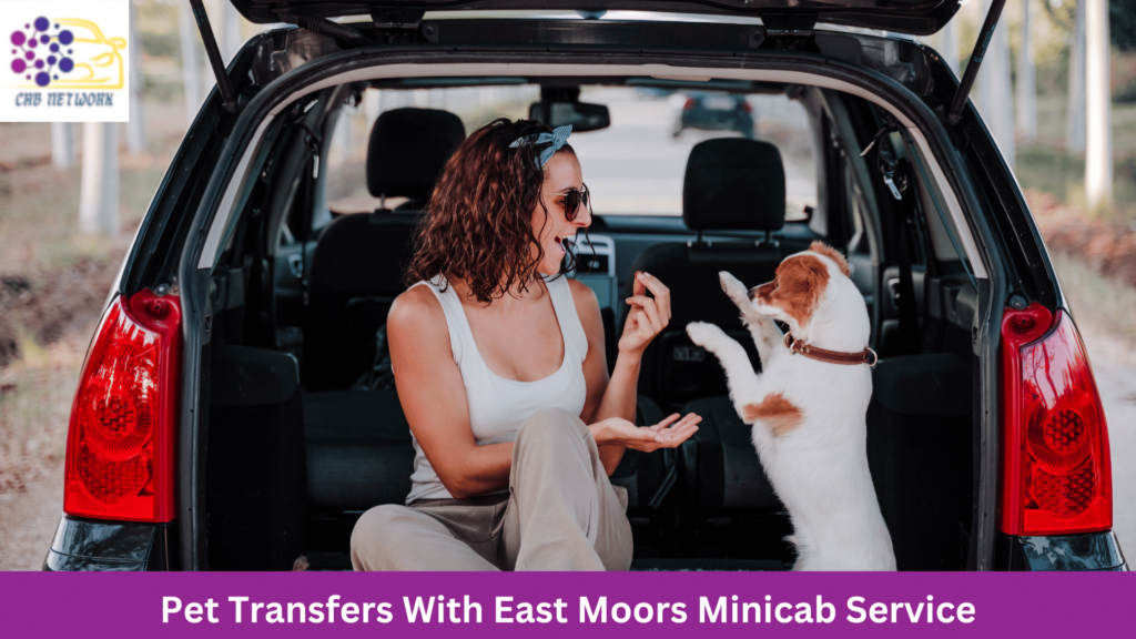 Pet Transfers With East Moors Minicab Service